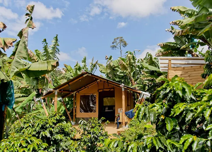 Glamping Jardin