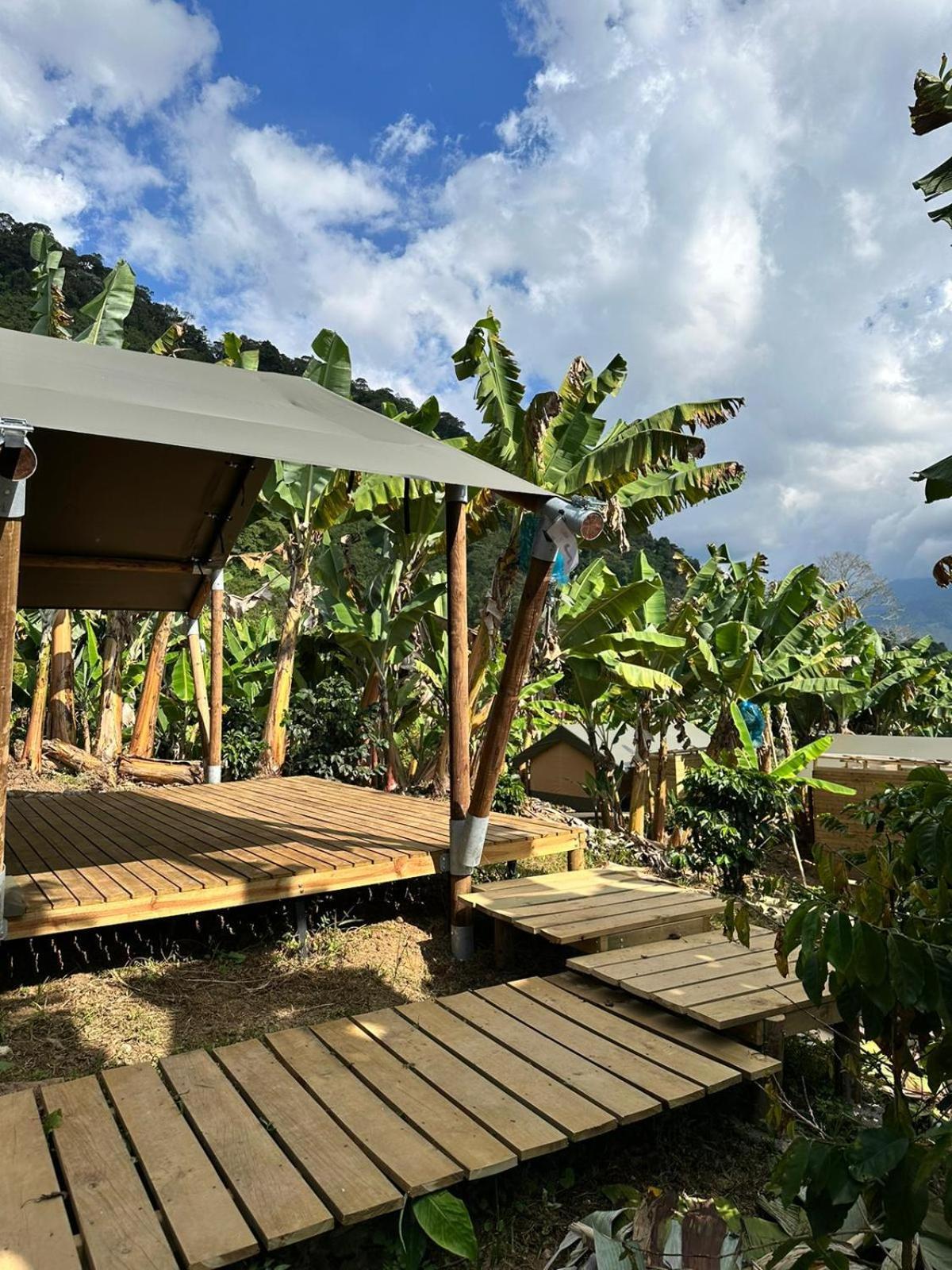 Luxury tent Glamping