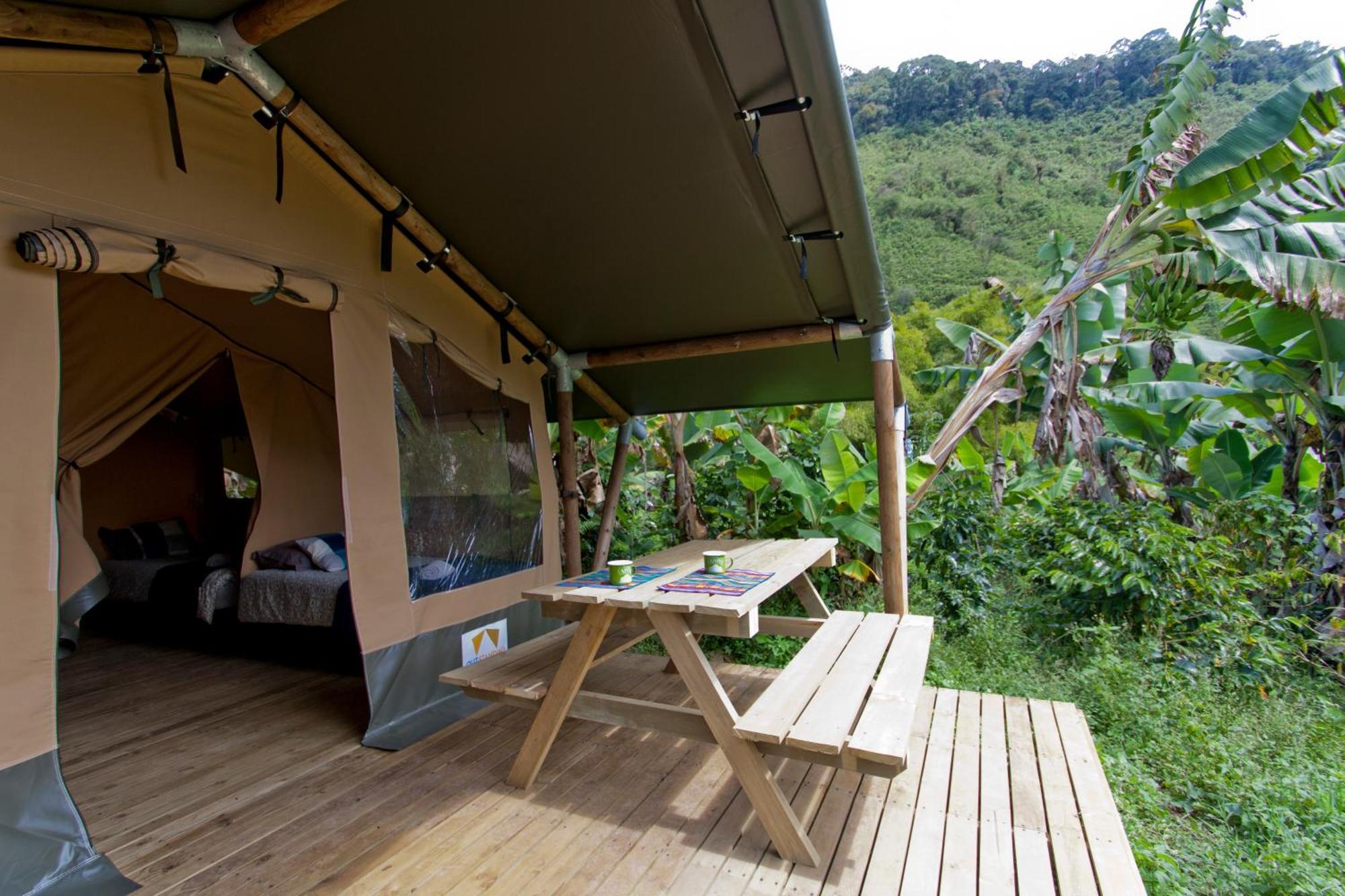 Luxury tent Glamping