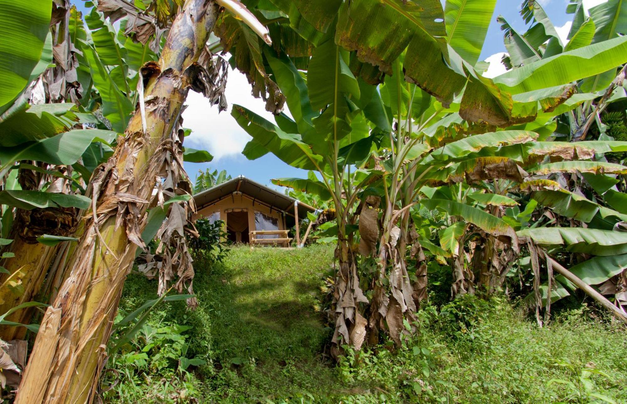 Glamping Jardin