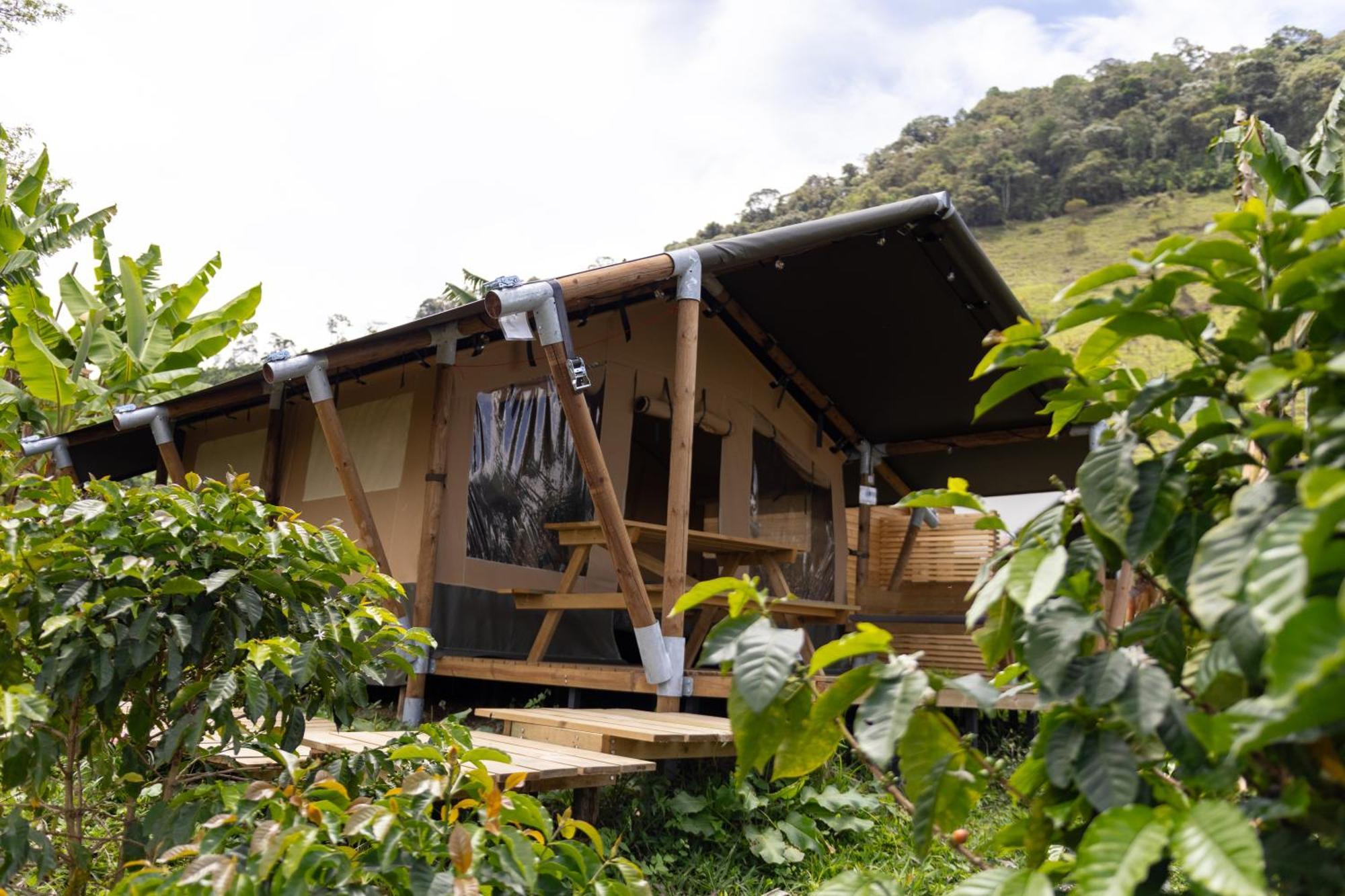 Luxury tent Glamping *